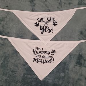 Engagement Dog scarves.